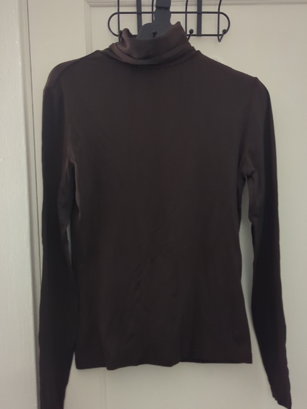 EXPRESS Women's World Brand Long Sleeve Turtleneck Top - Brown Size Small